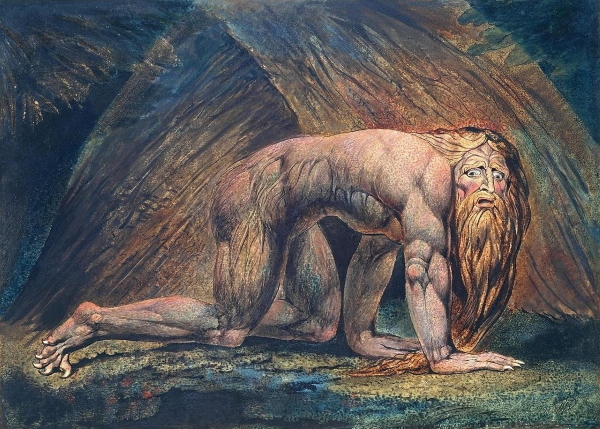 Nebuchadnezzar as a beast